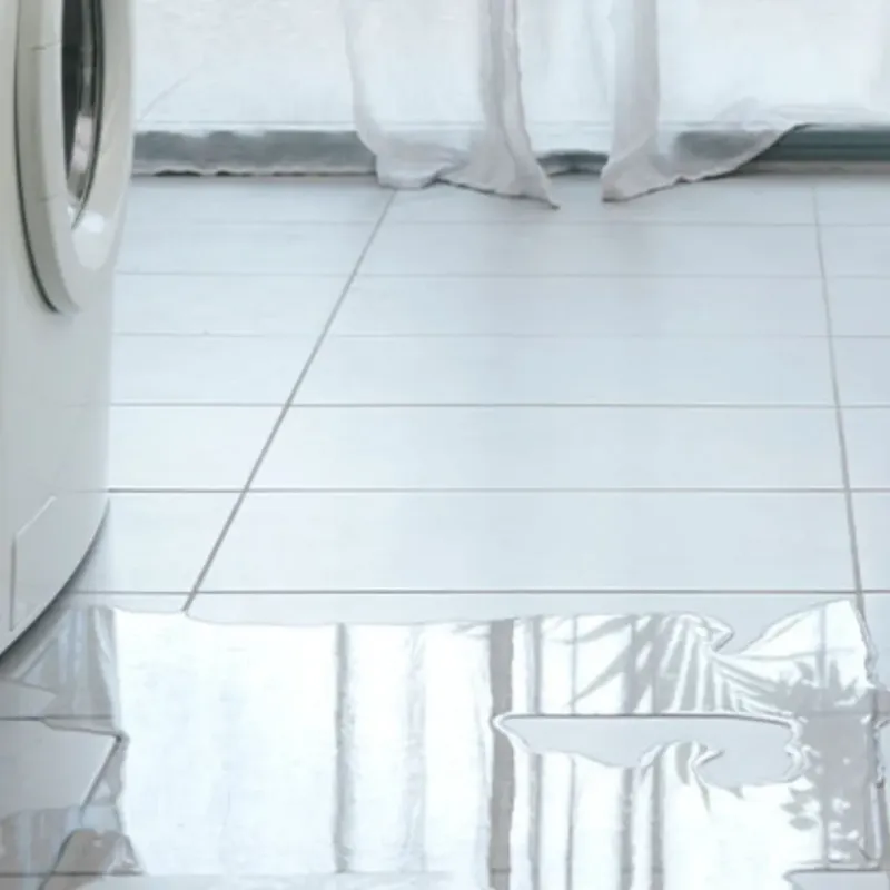 Appliance Leak Cleanup in Morris County, TX
