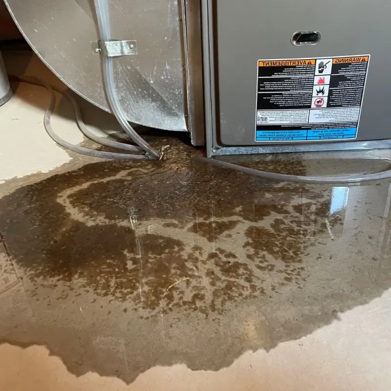 Pipe Burst and Leak Restoration in Morris County, TX