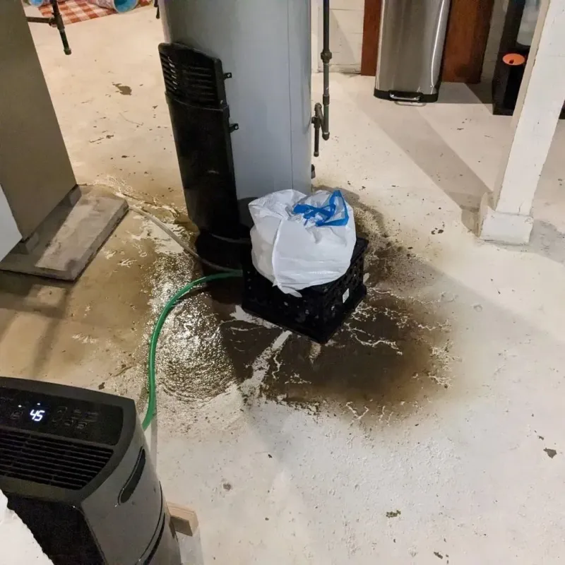 Sewage Backup Cleanup Service in Morris County, TX